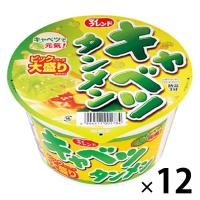 大黒食品工業 ビック キャベツタンメン 1セット（12個）