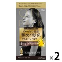 ビゲン オイルパックカラー 5WB ウォームブラウン 2個 白髪染め クリームタイプ ホーユー