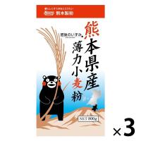 熊本製粉 熊本県産薄力小麦粉 肥後のいずみ 800g 1セット（1個×3）
