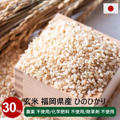 玄米 30kg 送料無料（ヒノヒカリ）の商品一覧 通販 - Yahoo!ショッピング