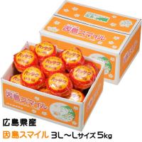 プレミアム紅八朔　因島スマイル　 広島県産　JA尾道市　因島選果場　　糖度12度以上 3L〜Lサイズ 12〜18玉　約5kg　送料無料　はっさく　ハッサク　みかん 