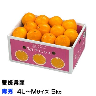紅まどんな（フルーツ） | 食品 のおすすめ人気商品一覧 通販 - Yahoo