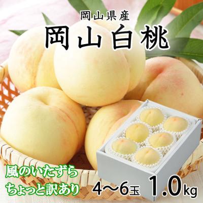 chariess　桃13玉×2箱　訳あり 楽天市場】お中元 夏ギフト あら川の桃 品種おまかせ 4Lサイズ 2