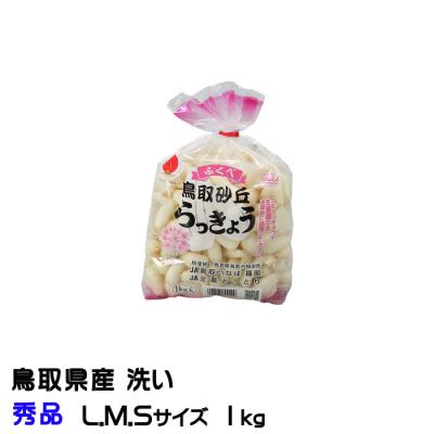 砂丘らっきょう 鹿児島のおすすめ人気商品一覧 通販 - Yahoo!ショッピング