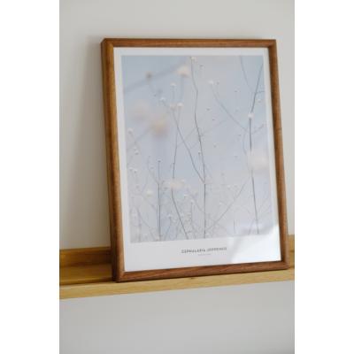 ポスター 額縁 30 40（ポスターフレーム）｜デジタルフォトフレーム