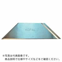 NOGA 2-42内径用ブレード90°刃先0°超硬 ( KP01-351-0 ) コパル社 | 配管材料プロトキワ
