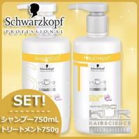 シュワルツコフ BCクア カラーセーブ シャンプー a 750mL + トリートメント a 750g セット 美容室 専売 母の日 | ヘアケアcafe〜ルベル・フィヨーレ