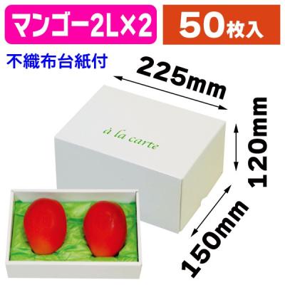 箱の店 - マンゴー|Yahoo!ショッピング 箱の店 - マンゴー|Yahoo!ショッピング