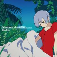 CD)BlooDye/Where you are feat.LITTLE(KICK THE CAN CREW) (XNLD-10088) | ディスクショップ白鳥 Yahoo!店