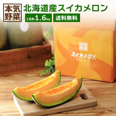 北海道産スイカメロン (1玉約1.6kg) サントリーフラワーズ「本気野菜