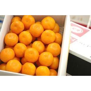 出島の華のおすすめ人気商品一覧 通販 - Yahoo!ショッピング