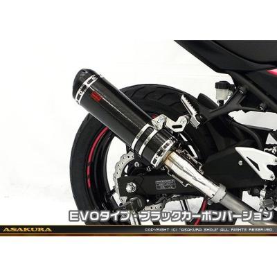 ニンジャ250 EX250P 18-24 ビート チタン スリップオン マフラー ex250p マフラー（バイク用 スリップオンマフラー）｜マフラー｜バイク
