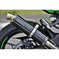 Ninja250（ニンジャ）18年 R-EVO スリップオンマフラー カーボンサイレンサー 政府認証 BMS-R（ビームス） | バイク メンテ館