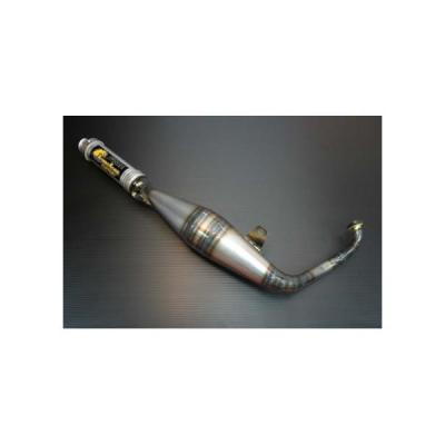 ぽ*ぐ様 ライブディオ　カメレオンマフラー カメレオンファクトリー製 チャンバー A104 パラライザー3 ライブDIO/J