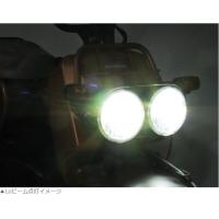 ズーマー（ZOOMER）01〜06年 AF58 LB7-ZO LEDヘッドライトバルブキット PH7 6000K PROTEC（プロテック） | バイク メンテ館