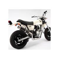 APE100（エイプ）HC07 SS300カーボンマフラー アップタイプ BEAMS（ビームス） | バイク メンテ館