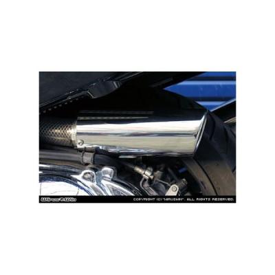 スカイウェイブ250 cj45（WirusWin／バイクメンテナンス用品）｜バイク