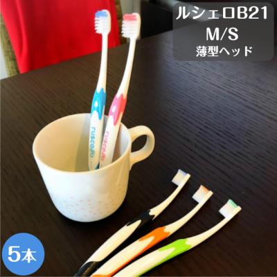 ジーシールシェロ歯ブラシのおすすめ人気商品一覧 通販 - Yahoo