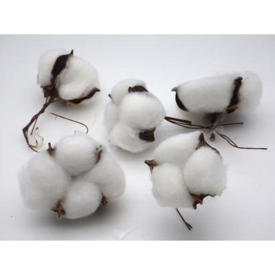 はなどんやアソシエ - コットンフラワー（綿）｜Yahoo!ショッピング