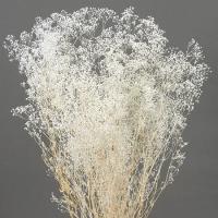 プリザーブド 大地農園 ミニカスミ草　大束　130ｇ　白 00017-010 プリザーブドフラワー花材 カスミ草 | はなどんやアソシエ