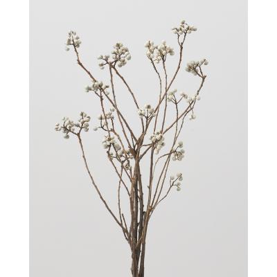 はなどんやアソシエ - ドライフラワー｜Yahoo!ショッピング