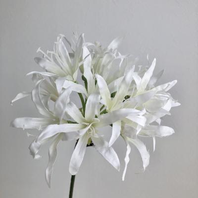 ダイヤモンドリリー➕サマーラブ（ホワイト） img58617521.jpg