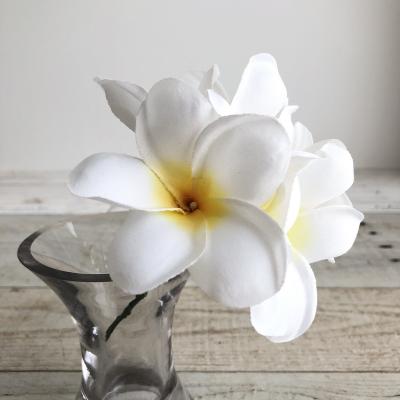 はなどんやアソシエ - プルメリア｜Yahoo!ショッピング