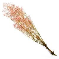 プリザーブド フロールエバー カスミソウ　約20g　ピンク FL830-860 プリザーブドフラワー花材 カスミ草 | はなどんやアソシエ