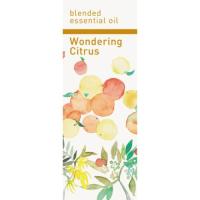生活の木 ワンダリングシトラス　３０ｍＬ 08-445-8320 アロマ エッセンシャルオイル 精油 | はなどんやアソシエ