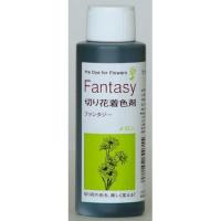 パレス化学 ファンタジー 100ｍｌ メロン 1520211 生け花 生花 道具 切花着色剤 | はなどんやアソシエ