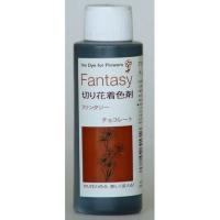 パレス化学 ファンタジー 100ｍｌ チョコレート 1520213 生け花 生花 道具 切花着色剤 | はなどんやアソシエ