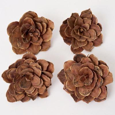 ドライフラワー❇️マグノリア❣️枝長め ドライフラワー枝物 通販 - はなどんやアソシエ