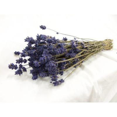 はなどんやアソシエ - ラベンダー｜Yahoo!ショッピング