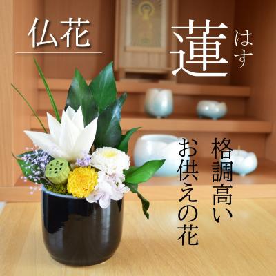 華玄 - 蓮｜Yahoo!ショッピング