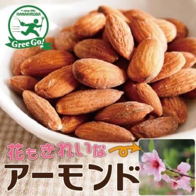 苗木、植木（果樹種類：アーモンド）｜花、ガーデニング おすすめ人気