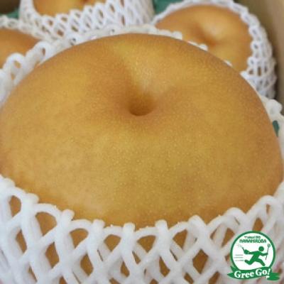梨 にっこり 苗木（果樹種類：梨）のおすすめ人気商品一覧 通販