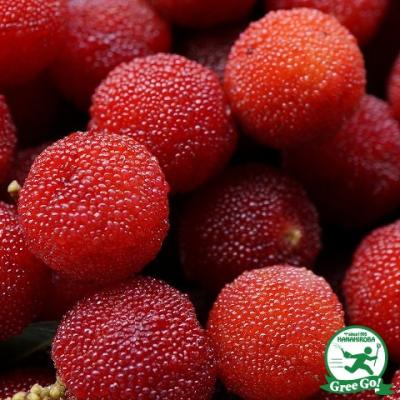 山桃のおすすめ人気ランキングTOP100 - Yahoo!ショッピング