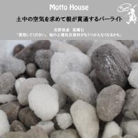 パーライト 2 5l 水はけを良くする 根腐れ防止 土壌改良 園芸 Pa Raito S 苗木部 花ひろばオンライン 通販 Yahoo ショッピング