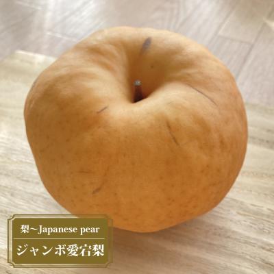 梨 花粉のおすすめ人気商品一覧 通販 - Yahoo!ショッピング