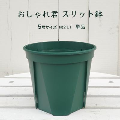 スリット鉢 5号のおすすめ人気商品一覧 通販 - Yahoo!ショッピング