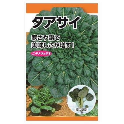 タアサイ 種のおすすめ人気商品一覧 通販 - Yahoo!ショッピング