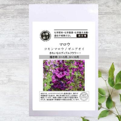 マロウ　種　100粒以上!! マロウ 種 100粒以上!! マロウ 種 100粒以上!! マロウ苗2鉢セット