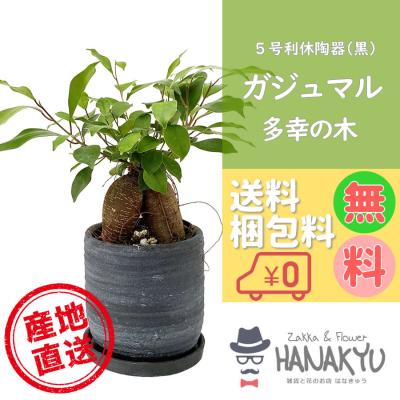 ガネーシャ グッズ 夢をかなえるゾウ（ギフト対応：包装紙、パッケージ
