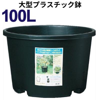 プラ鉢 大型の商品一覧 通販 - Yahoo!ショッピング