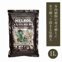 水で練って固まる 土  NELSOL 多肉植物の土 1L ネルソル 培養土 寄せ植え 園芸 リース作り 多肉  サキュレント 植物 サボテン さぼてん | 花の大和 ヤフー店