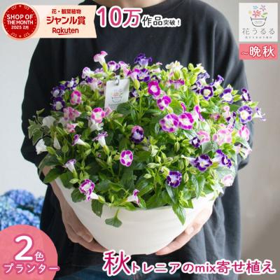 花うるる(ハンギング&寄せ植え通販 - ハンギング＆寄せ植えの全作品