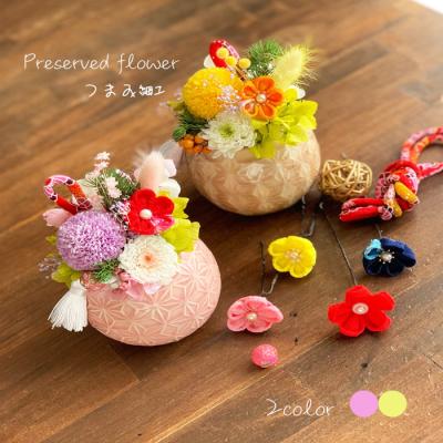 菜の花（花ギフト用途：母の日）の商品一覧 通販 - Yahoo!ショッピング