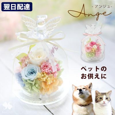 ガラスドーム（プリザーブドフラワー） | 花、ガーデニング のおすすめ