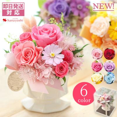 プリザーブドフラワー花材 ジニア（花、ガーデニング）のおすすめ人気