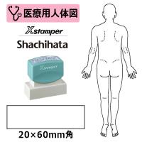 シヤチハタ 医療用人体図 全身（男性背面） Xスタンパー 角型印 2060号 ( 印面サイズ:20×60mm )  医療・病院・看護師・ナース・整体師 はんこ スタンプ | 印鑑と文具と雑貨のはんこキング